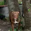 BenelliNewbern - @user3037623360904 - TikTok
