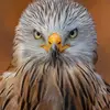 bentley.newbold - @bentley.newbold - TikTok