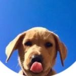 Ben ひ - @ben.newsome1 - Instagram