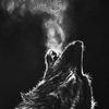 Benjamin P Nickol - @benjaminpnickol - TikTok