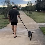Ben Nicol - @bxnicol - Instagram