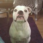 Bennie Middel - @benniemiddel - Instagram