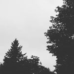 BenNiemi - @niemi02 - Instagram