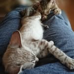 Bennie&Missi - @bennie_missi - Instagram