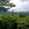 Ben Noe93 - @benoe760 - TikTok