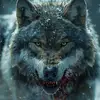 ben noon - @ben.noon88 - TikTok