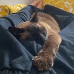 Ben Noonan - @bennnoonan - Instagram