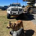 Ben Northey-Baldwin - @ben_northey_baldwin - Instagram