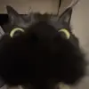 Ben - @bennorthrop6 - TikTok