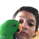 Ben Northway - @benandthebirds - Instagram