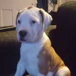 ben nott - @bennott24 - Instagram