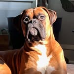 @ben.noven - Instagram