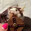 🐀 - @ben_novelline - TikTok