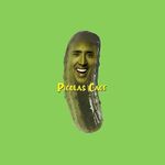 Ben Novick - @picholas_cage123 - Instagram