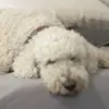 bennovick949 - @bennovick949 - TikTok