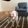 bennunn1 - @bennunn10 - TikTok