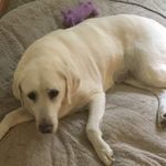 Ben Nyberg - @ben_niberg - Instagram