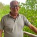Bengt Nylander - Facebook