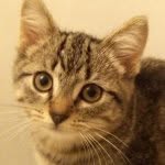 Ben Nylund - @computer_tech2020_ - Instagram