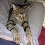 Ben Obst - Facebook