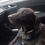 Ben_Obsti - @ben_obsti - Instagram