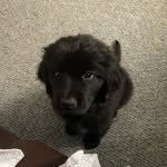 Ben Odie - @the_bear_named_ben - Instagram