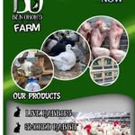 Ben-Okoh's Farm - @benokohs - Instagram