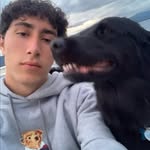 Ben Oppedisano - @benopped - Instagram