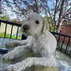 BenO - @ben.ott1 - TikTok