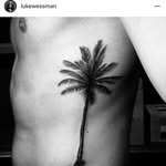 Ben Palma - @palmaben - Instagram