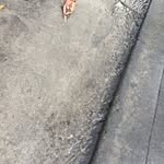 Ben Palma - @benpalma_2 - Instagram