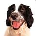 Ben Palmer - Facebook