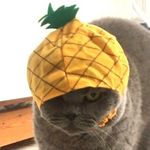 Ben Palmer - @benpalmer_ - Instagram