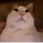 @ben_patatess - Instagram