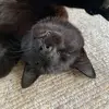 Ben Paterson - @bennyp28 - TikTok