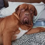 Ben Pattison - @bpatty13 - Instagram