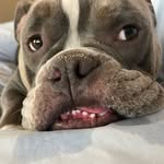 Ben Paxton Solow Lopez - @benpaxtonsolow - Instagram