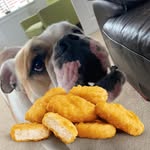 Ben Pennock - @benpennock.4 - Instagram