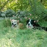 ⚦Ben & Penny♀ - @_penny.ben_ - Instagram