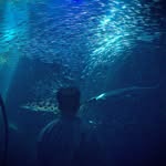 Ben Pham - @_bp610_ - Instagram