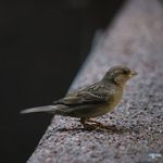 Ben Philpot - @benphotography987 - Instagram