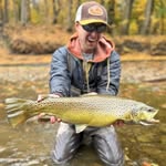 Ben Phipps - @b.phipps22 - Instagram