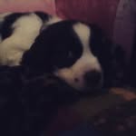 Ben Pittaway - @ben_pitt1 - Instagram