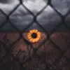 BEN - @ben_pla - TikTok
