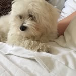 Ben - @benplana - Instagram
