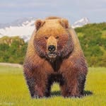 Ben Pollock - @benpollock2 - Instagram