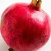 Ben Pomegranate - @benpomerantz1 - TikTok
