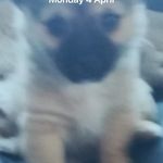 Ben Poole - @ben.poole.1401933 - Instagram