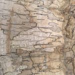 Ben Poole - @thereallygoodcarpentrycompany - Instagram