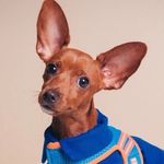 Benny - @benporto__ - Instagram